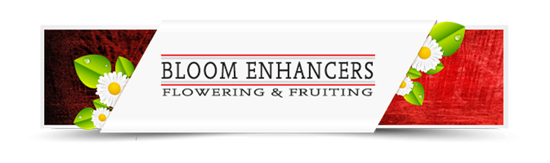 Bloom Enhancers Bloom Enhancers