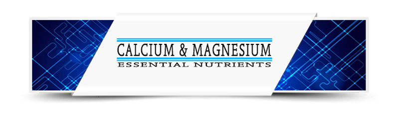 Calcium & Magnesium