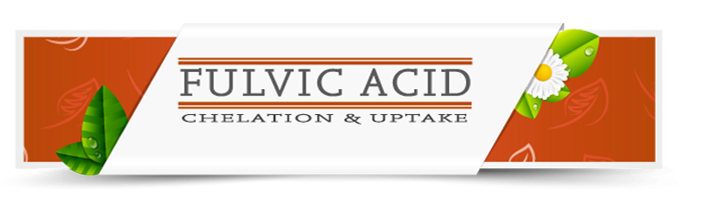 Fulvic Acid Fulvic Acid