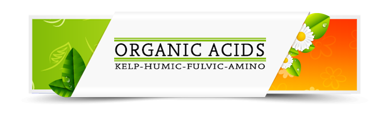 Organic Acids Organic Acids