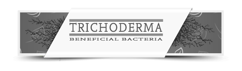 Trichoderma Trichoderma