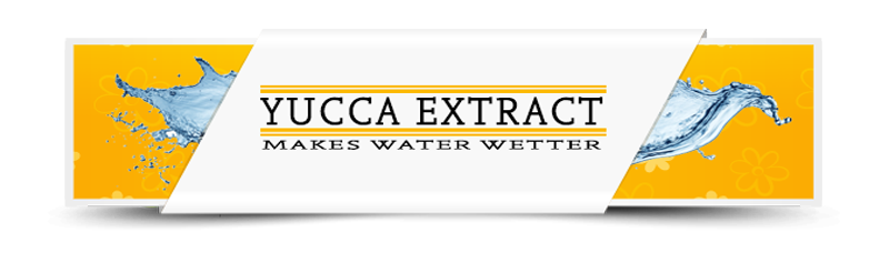Yucca Extract Yucca Extract