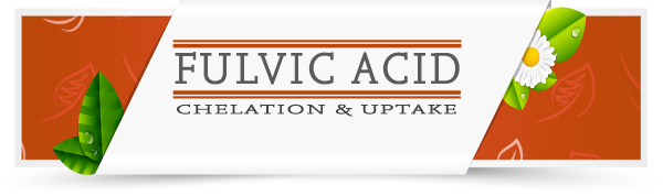 Fulvic-Acid-Category-Layout