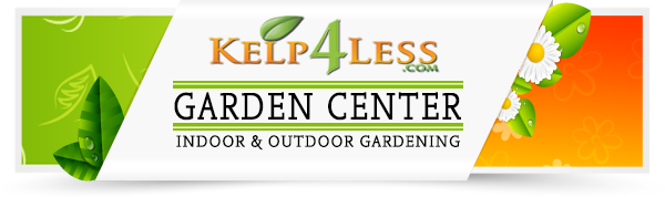 Shop Kelp4less