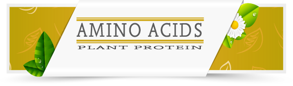 Amino-Acid-Category-Layout
