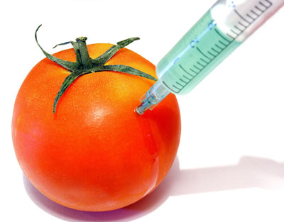 GMO Foods