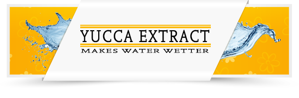 Yucca-Category-Layout