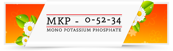 MKP-Category-Layout