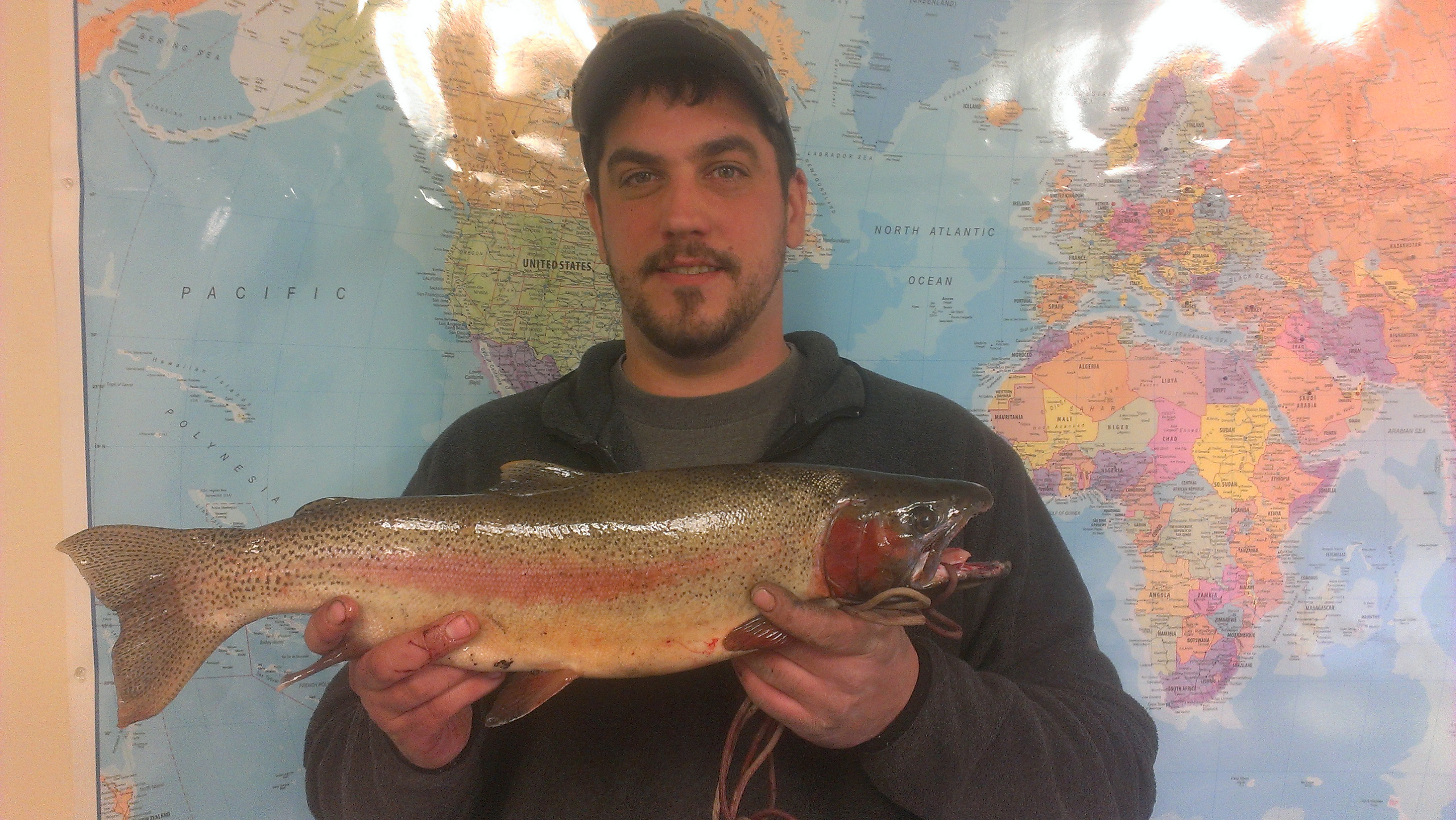 ryan's-fish