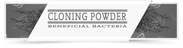 Cloning Powder
