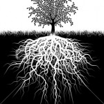 Healthy Roots