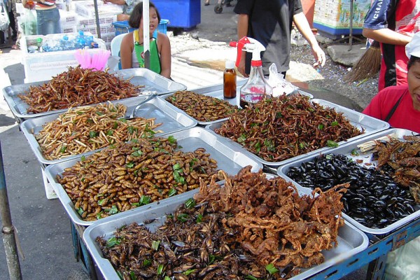 Friedcrickets.Thailand Friedcrickets.Thailand