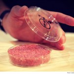 TestTubeMeat