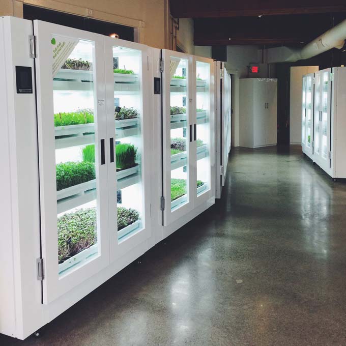 Living Produce Aisle