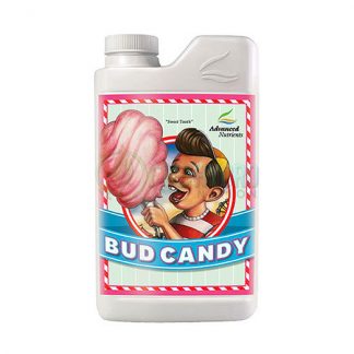 Bud Candy