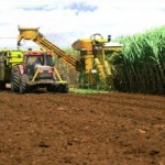 agricultural_sugar__Sudan