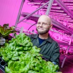 NoLandFarming-m-0416