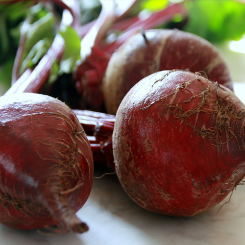 Beets-Growers-Guide