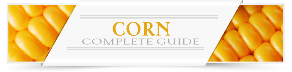 Corn-Category-Layout