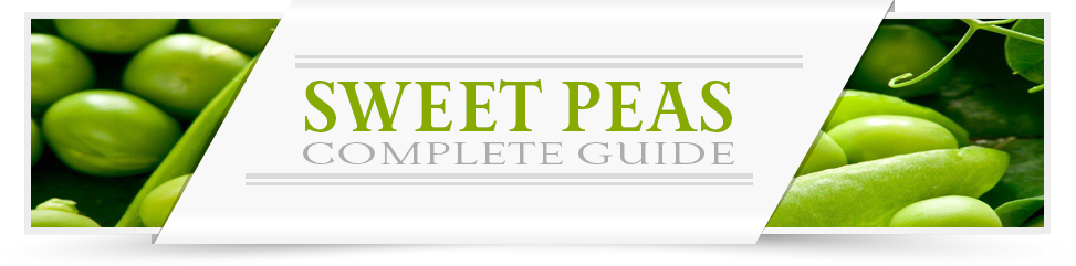Peas-Category-Layout