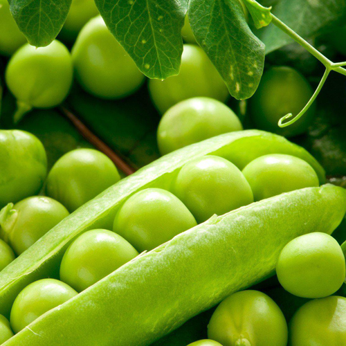 Peas-Growers-Guide
