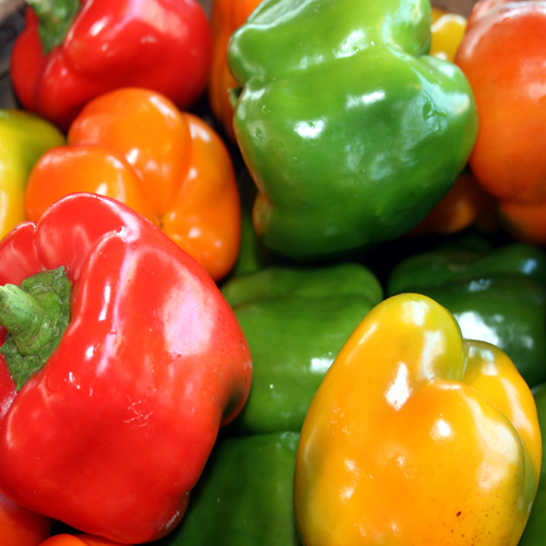 Peppers-Growers-Guide