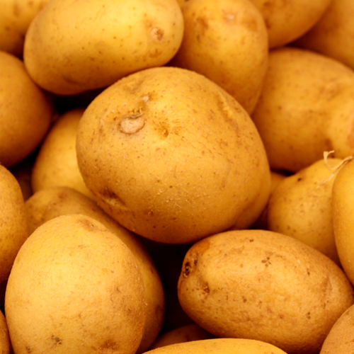 Potatoes-Growers-Guide