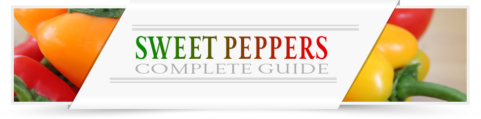 Sweet-Peppers-Category-Layout