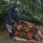 UgandaMayLooseLand
