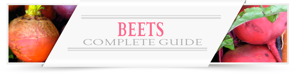 Beets-Category-Layout