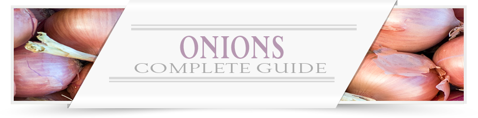 Onion-Growers-Guide
