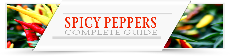 Spicy-Peppers-Category-Layout