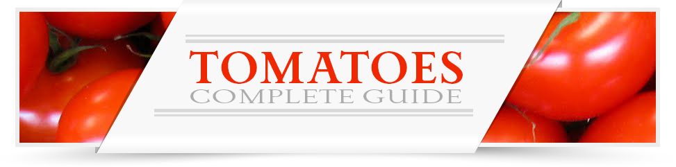 tomato-category-layout