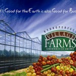 Photo courtesy of Village Farms