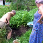dacha-1-350