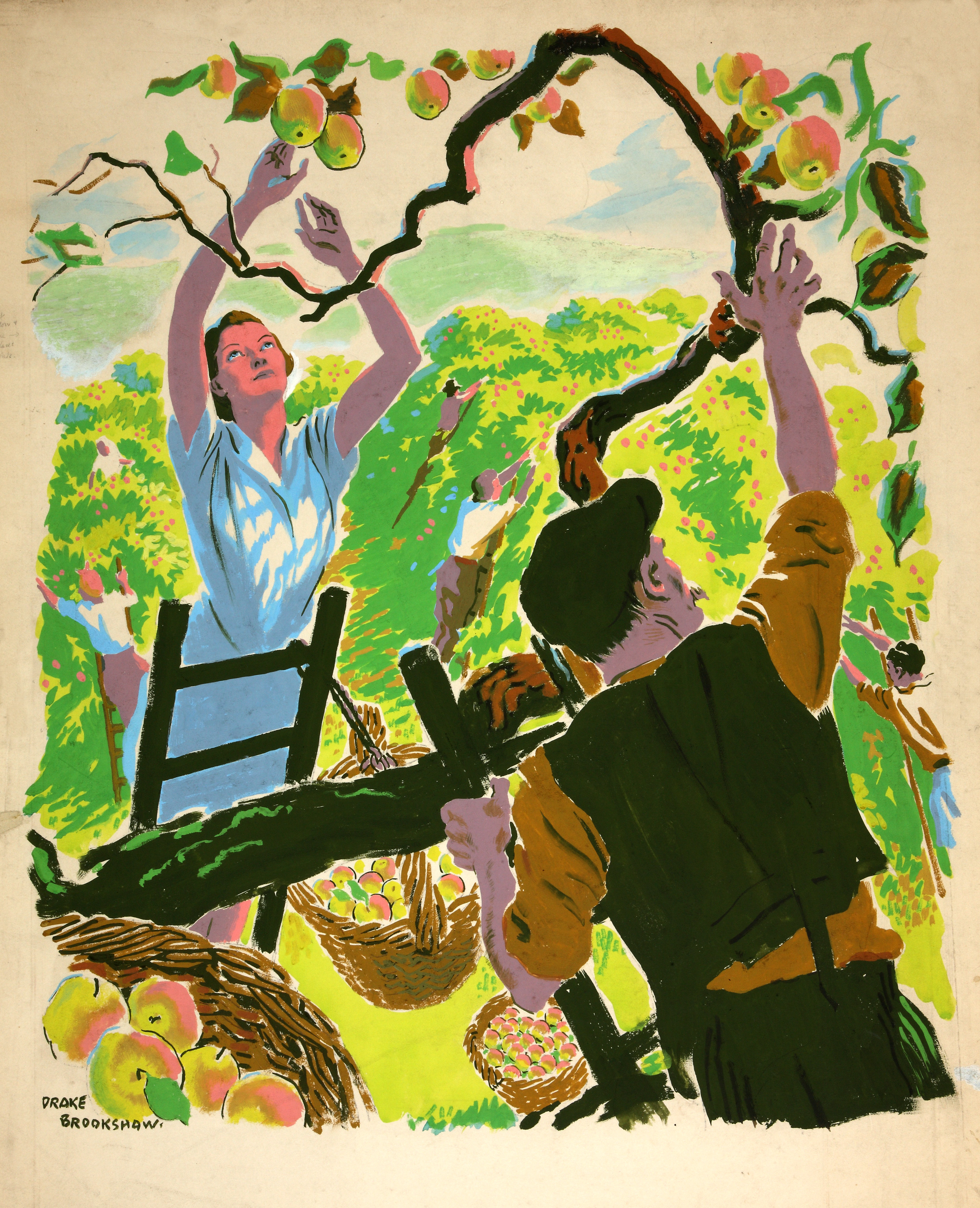 INF3-109_Food_Production_Apple_picking_Artist_Drake_Brookshaw