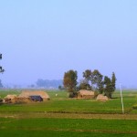 Panoramic_view_of_the_fields_rural_India_2012