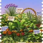 farmers-market-stamps-b54bb94b3bd5a804