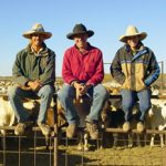 cowboys