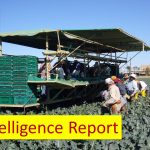 foodchainintelligencereport