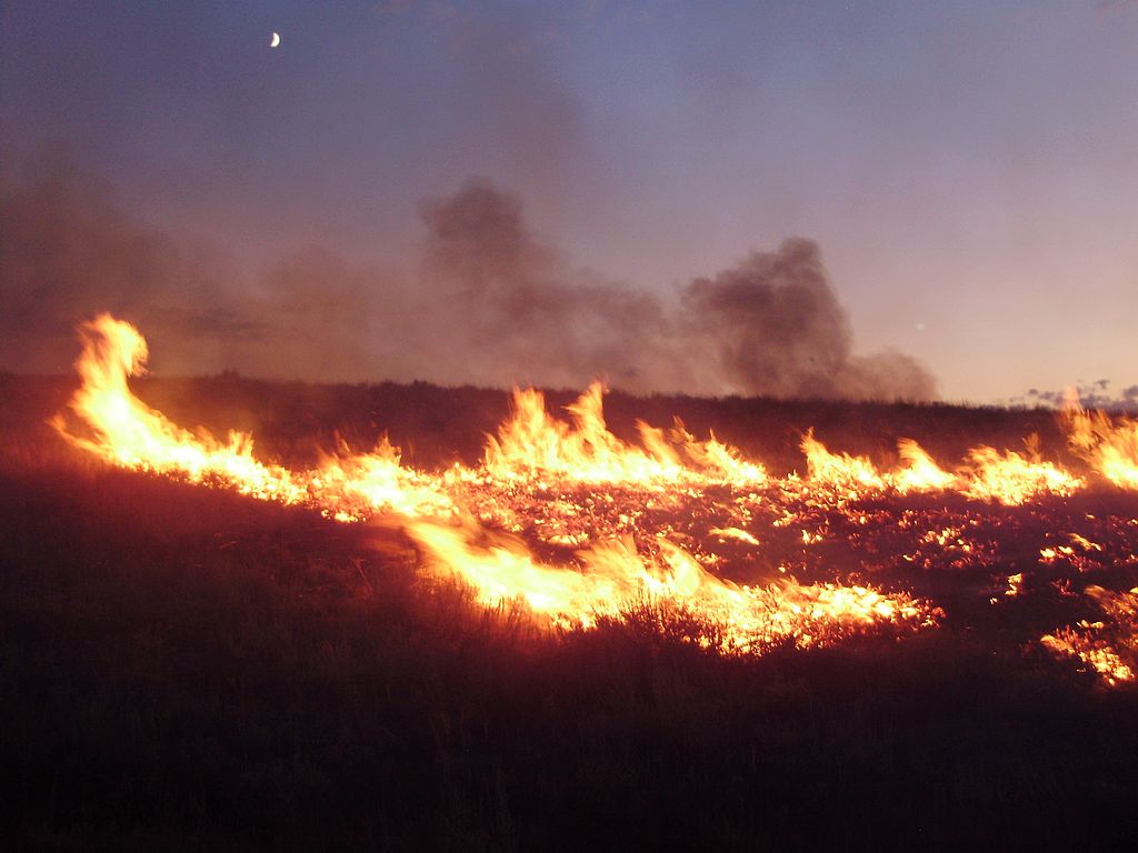 2011-08-04_20_00_00_Susie_Fire_in_the_Adobe_Range_west_of_Elko_Nevada