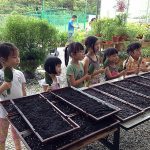 PocketFarms