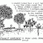 Forgard2-003