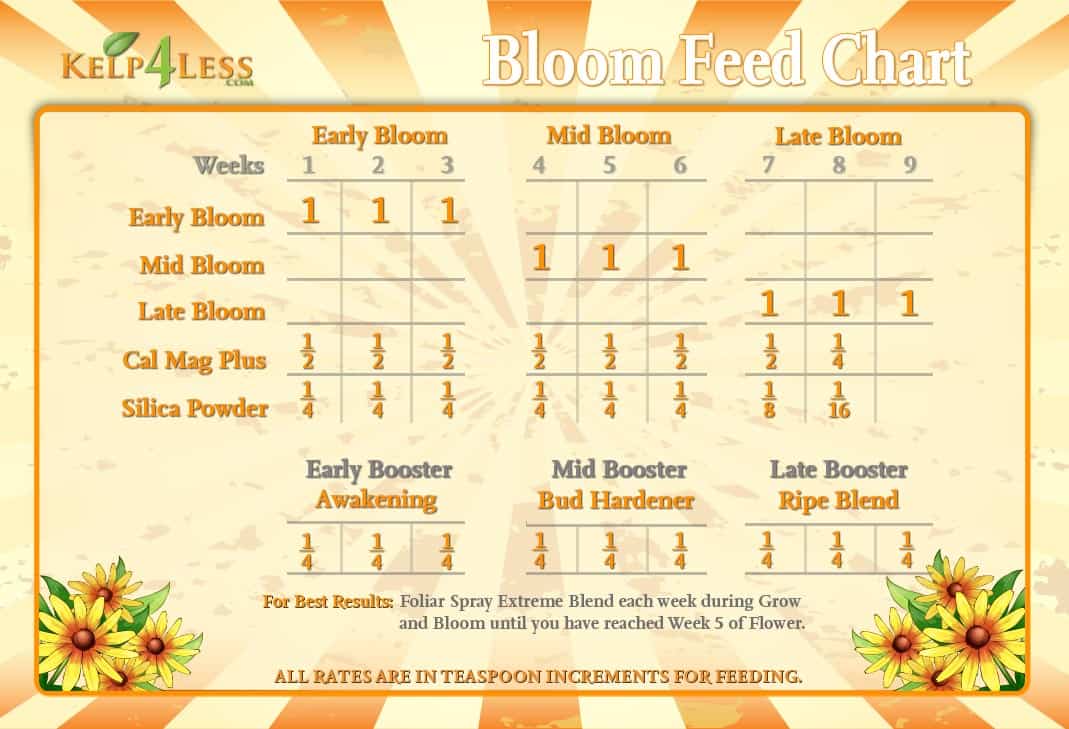 Ripen Feed Chart