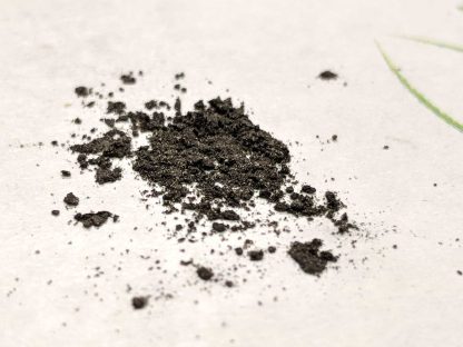 Mycorrhizae and Inoculants - Image 3