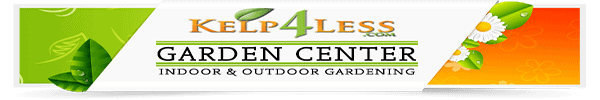 Shop-Category-Layout Shop-Category-Layout