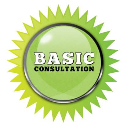 Basic-Consultation-Button