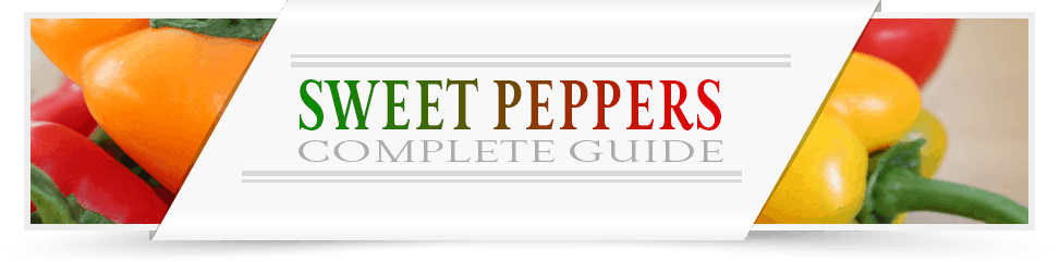 Sweet-Peppers-Category-Layout