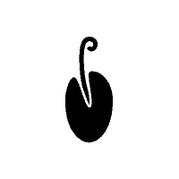seed-icon