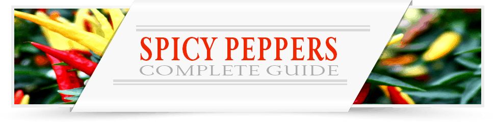 spicy-peppers